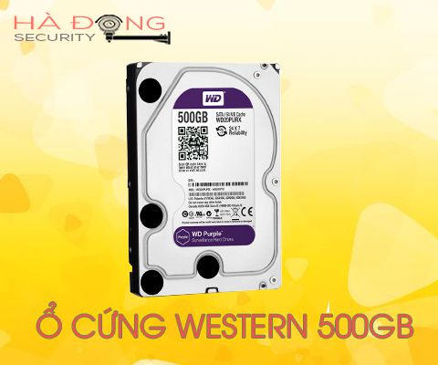 Ổ cứng lưu trữ chuyên dụng 500 WD Purple WD05PURZ