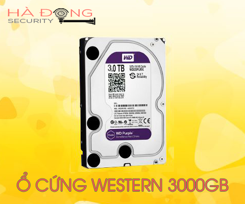 Ổ cứng lưu trữ chuyên dụng 3000 WD Purple WD30PURZ