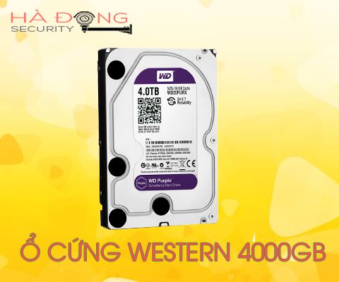 Ổ cứng lưu trữ chuyên dụng 4000 WD Purple WD40PURZ